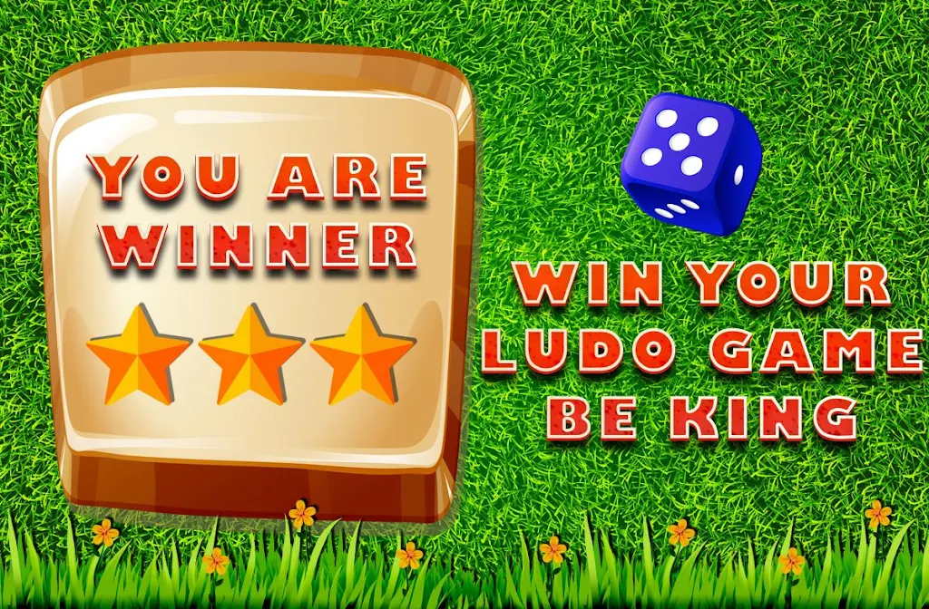 Ludo Game : Classic Screenshot 3