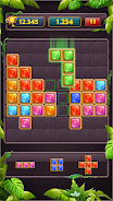 Block Puzzle Jewel Classic Capture d'écran 1