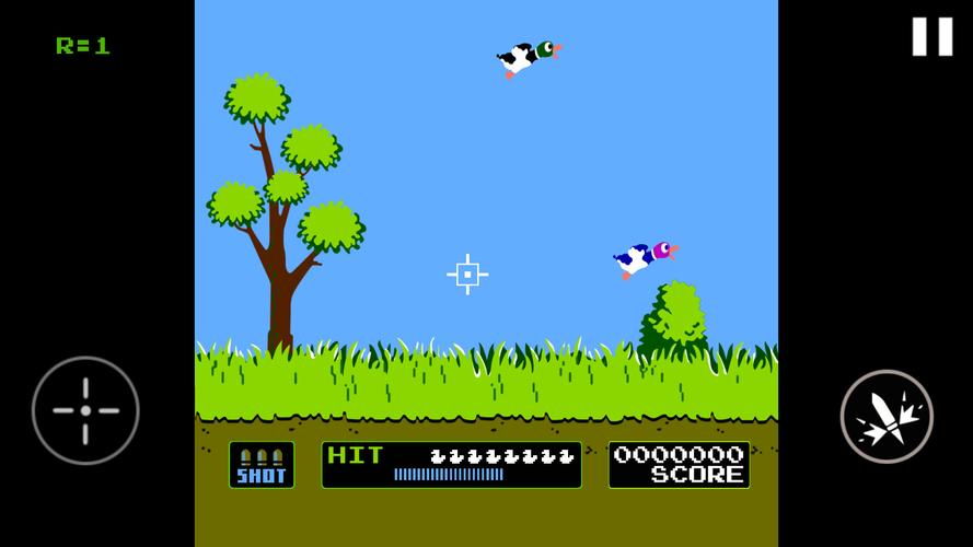 Duck Hunt स्क्रीनशॉट 3