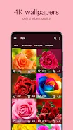 Rose Wallpapers 4K स्क्रीनशॉट 2