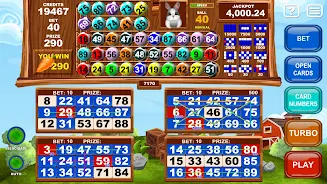 Video Bingo Little Farm应用截图第2张