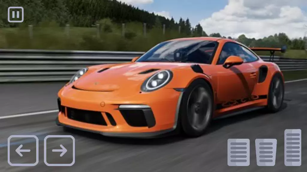 Racing Porsche Carrera 911 GT3 스크린샷 1