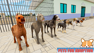 Animal Shelter: Pet World Game應用截圖第2張