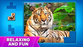 Puzzles: Jigsaw Puzzle Games स्क्रीनशॉट 1