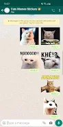 Cat Memes Stickers WASticker Screenshot 2