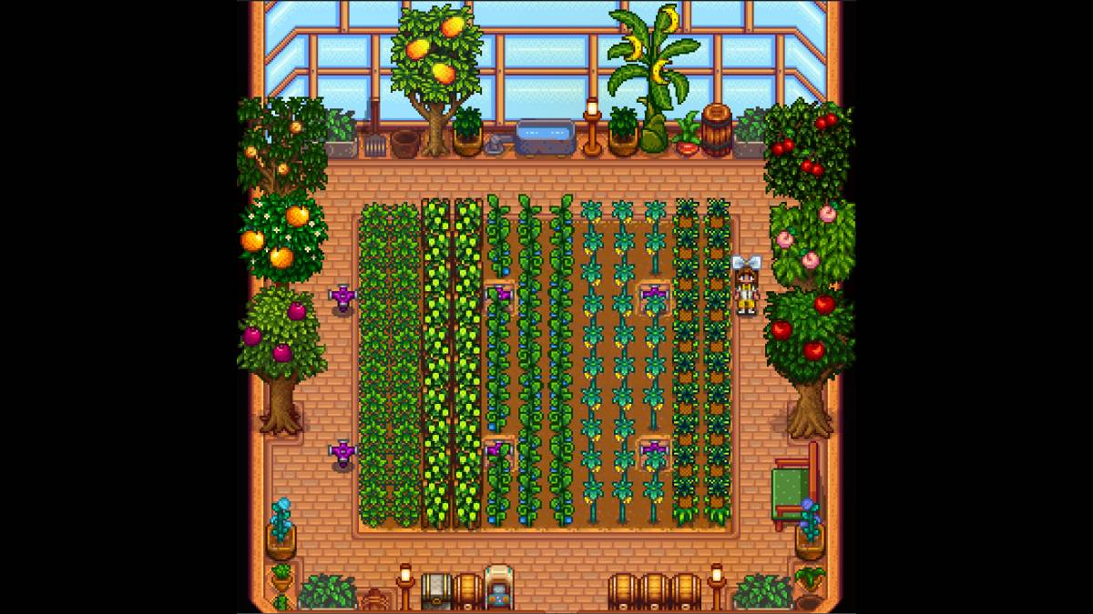 Stardew Valley의 온실 용량 : 얼마나 많은 식물?