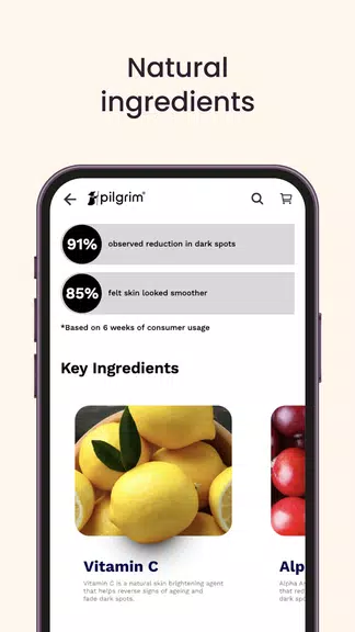 Pilgrim India スクリーンショット 4