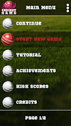 Blind Cricket Screenshot 1