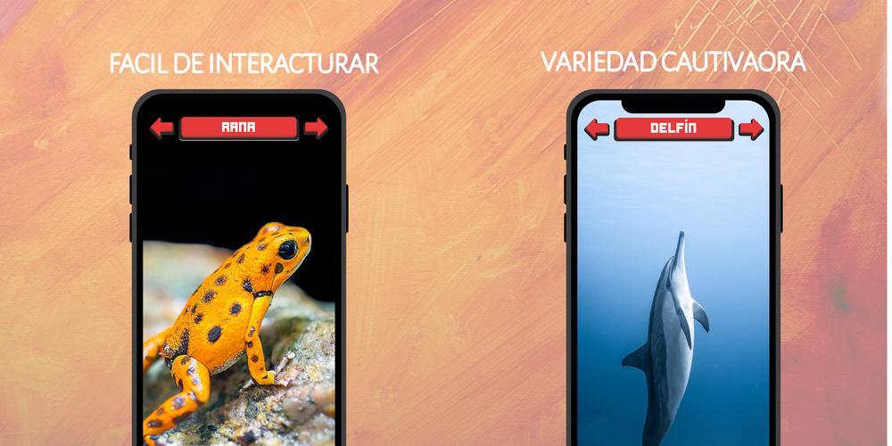 Animales: Sonidos e Imágenes स्क्रीनशॉट 4