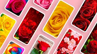 Rose Wallpapers 4K स्क्रीनशॉट 1