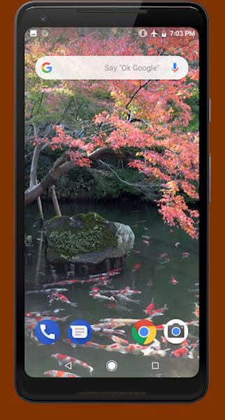 Japanese Koi Pond 4K Video LWP स्क्रीनशॉट 4