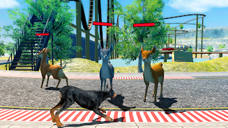 Doberman Dog Simulator Captura de pantalla 2