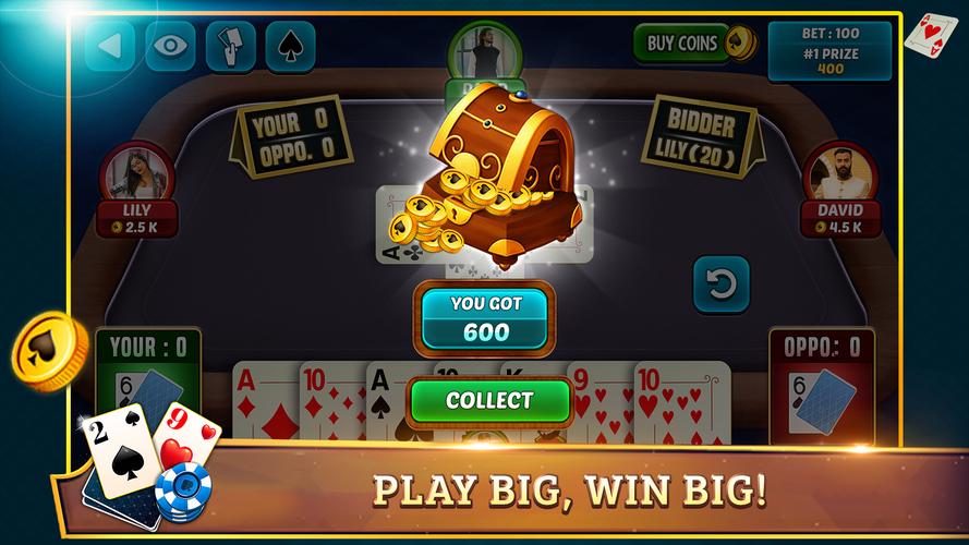 29 Card Game Plus स्क्रीनशॉट 3