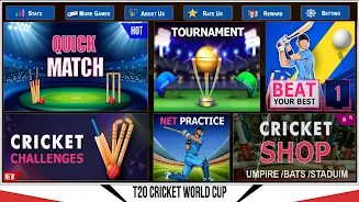 Indian Cricket Championship スクリーンショット 4