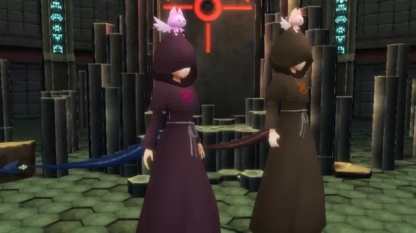 A picture of two mysterious individuals wearing hooded robes.
