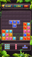 Block Puzzle Jewel Classic Capture d'écran 3