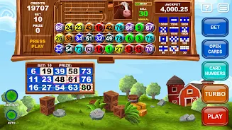 Video Bingo Little Farm应用截图第4张