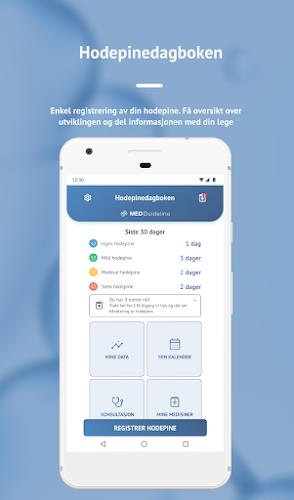 Hodepinedagboken Captura de tela 1