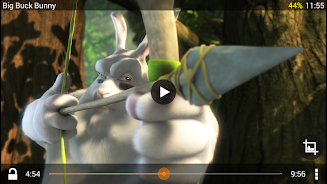 VLC for Android beta應用截圖第3張