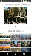 ImageSearchMan - Image Search Screenshot 3