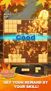 Block Puzzle：Maple Melody应用截图第4张