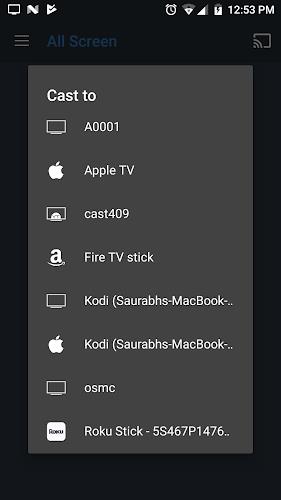 All Screen Cast to TV Roku Screenshot 3