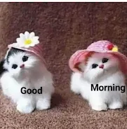 Good Morning Images 2023 Screenshot 3