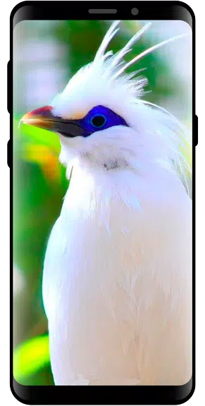 10000 Nature Wallpapers スクリーンショット 1
