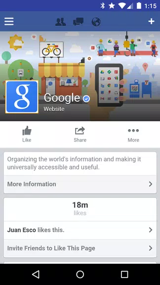 Tinfoil for Facebook Capture d'écran 1