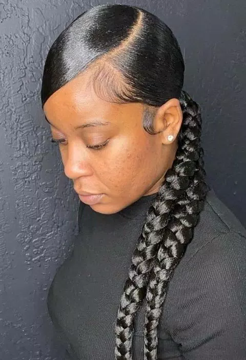 Sleek Braided Ponytail Styles Screenshot 1