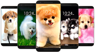 Dog Wallpaper HD应用截图第1张