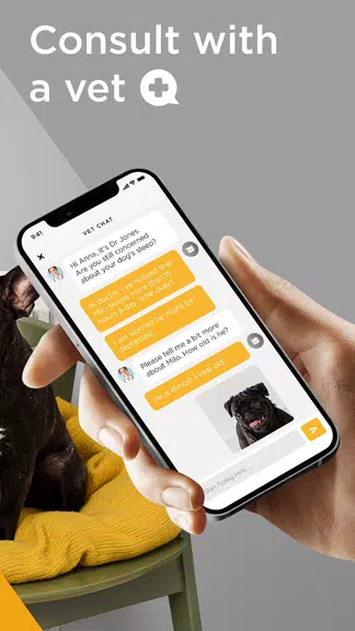 Petcube स्क्रीनशॉट 4