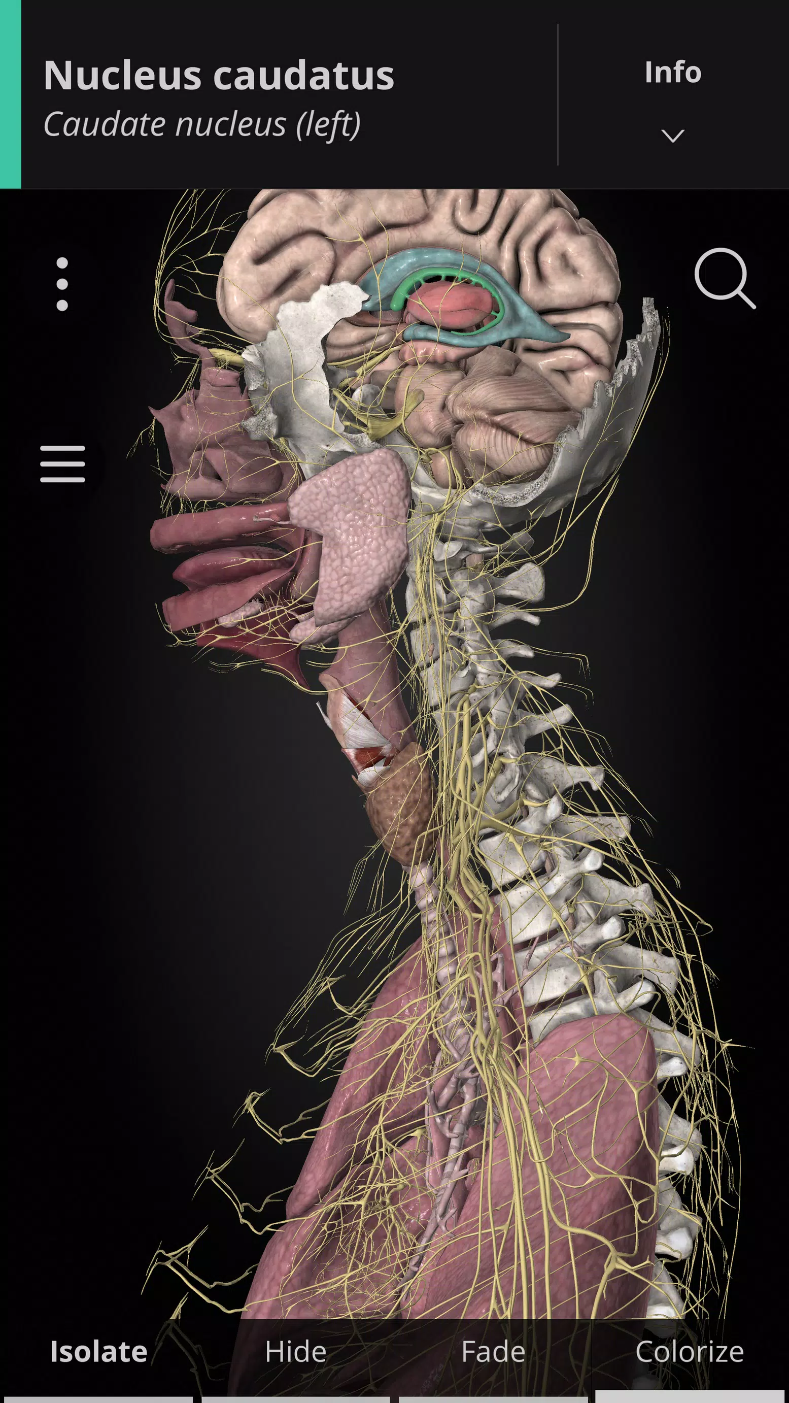 Anatomyka - 3D Anatomy Atlas Screenshot 1