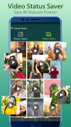 Status Saver for Whatsapp & free status downloader Captura de tela 2