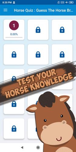 Guess the horse breed Screenshot 2