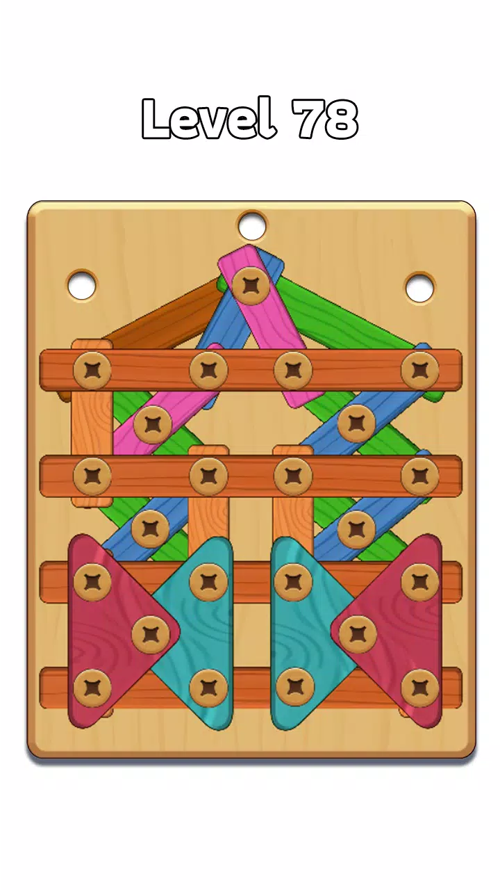 Wood Nuts & Bolt: Screw Puzzle 스크린샷 3