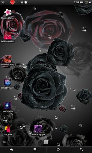 Roses live wallpaper Capture d'écran 2