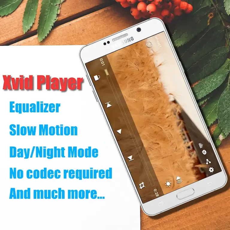 Xvid Video Codec Player Captura de pantalla 1