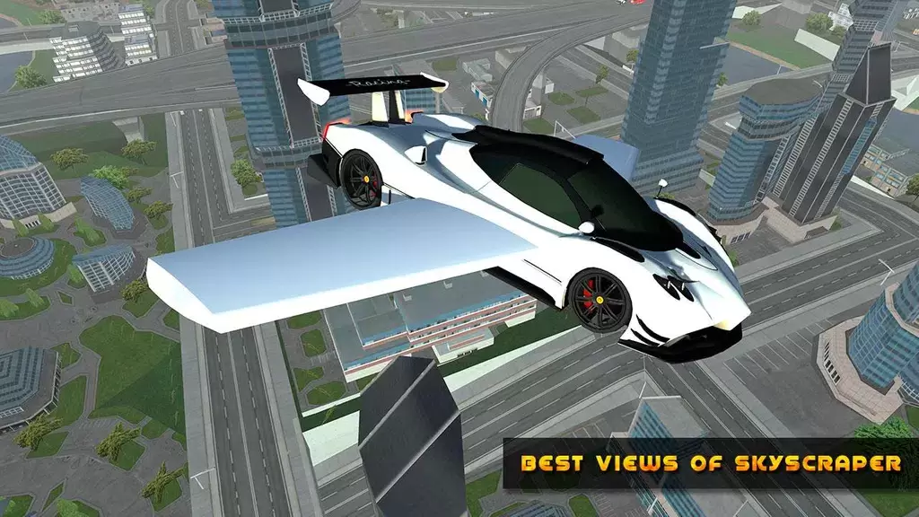 Flying Car Game driving应用截图第3张