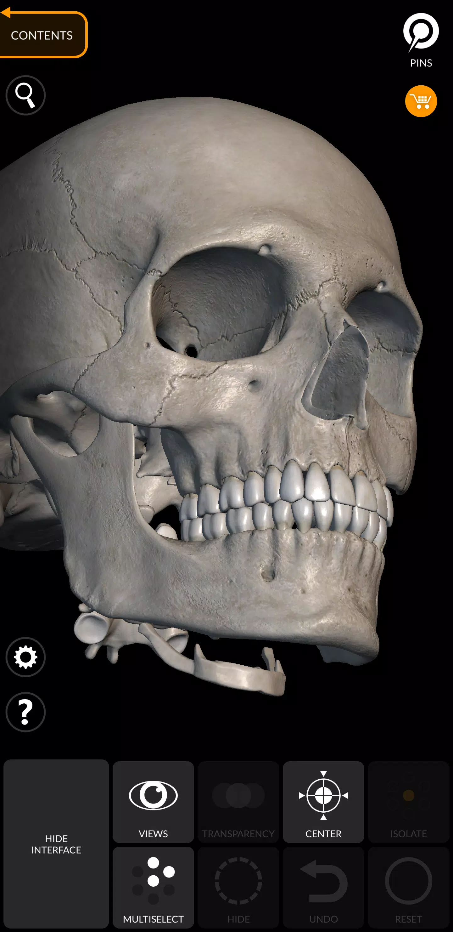 Skeleton Capture d'écran 4