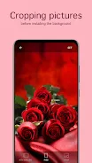 Rose Wallpapers 4K स्क्रीनशॉट 4