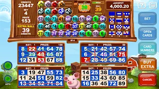 Video Bingo Little Farm应用截图第1张