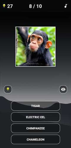 Animal Quiz: Guess the Animal应用截图第1张
