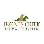 Boones Creek Animal Hospital