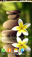 Zen Garden Live Wallpaper Captura de pantalla 2