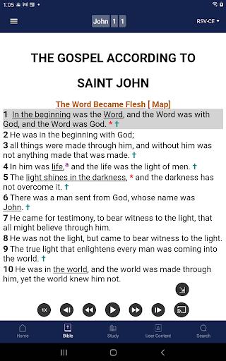 Catholic Study Bible App应用截图第4张