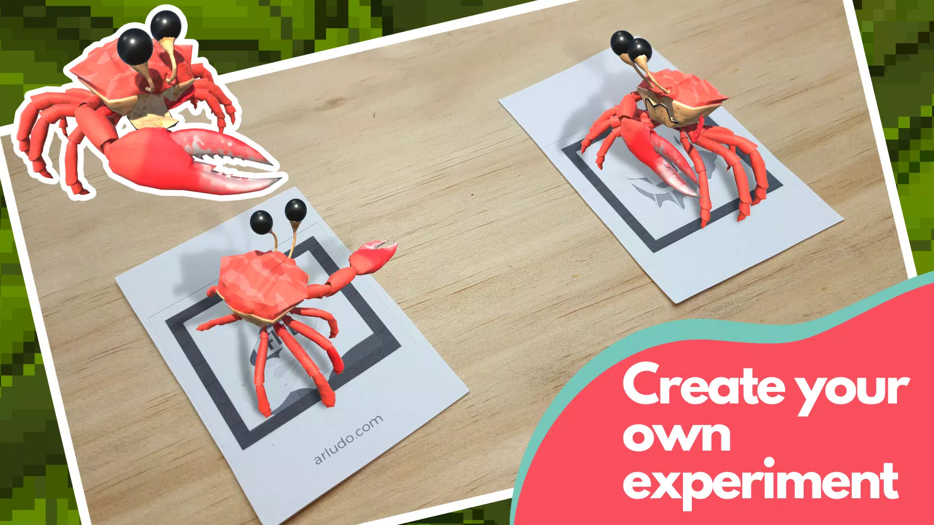 Reservoir Crabs应用截图第3张