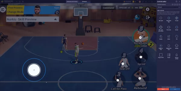 Dunk City's Championship Tactics Exposed