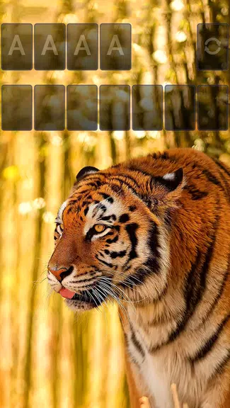 Solitaire Tiger Theme應用截圖第2張