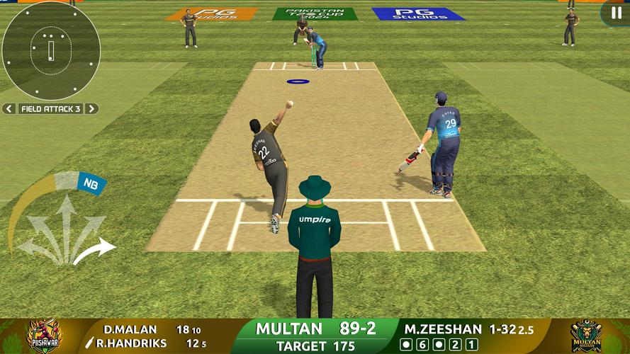 Cricket Game: Pakistan T20 Cup应用截图第2张